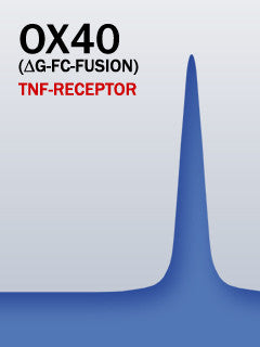 OX40 (Aglyco-Fc-Fusion)