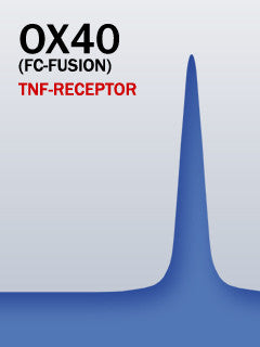 OX40 (Fc-Fusion)