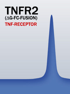 TNFR2 (Aglyco-Fc-Fusion)