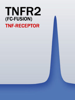 TNFR2 (Fc-Fusion)