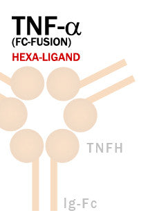 TNF-α (Fc-Fusion)