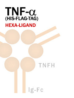 TNF-α (His-FLAG-Tag)