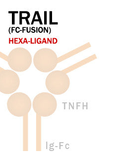 TRAIL (Fc-Fusion)