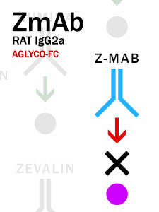 Z-MAB – Rat IgG2a with aglyco-Fc