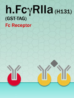 Human FcγRIIa (H131) (GST-Fusion)